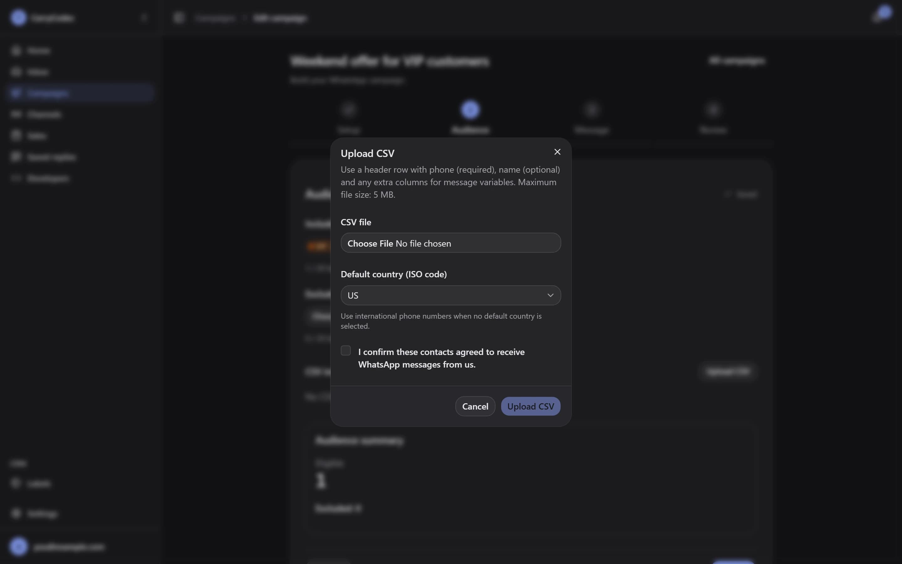 Campaign audience setup with Include labels, Exclude labels, and CSV import consent