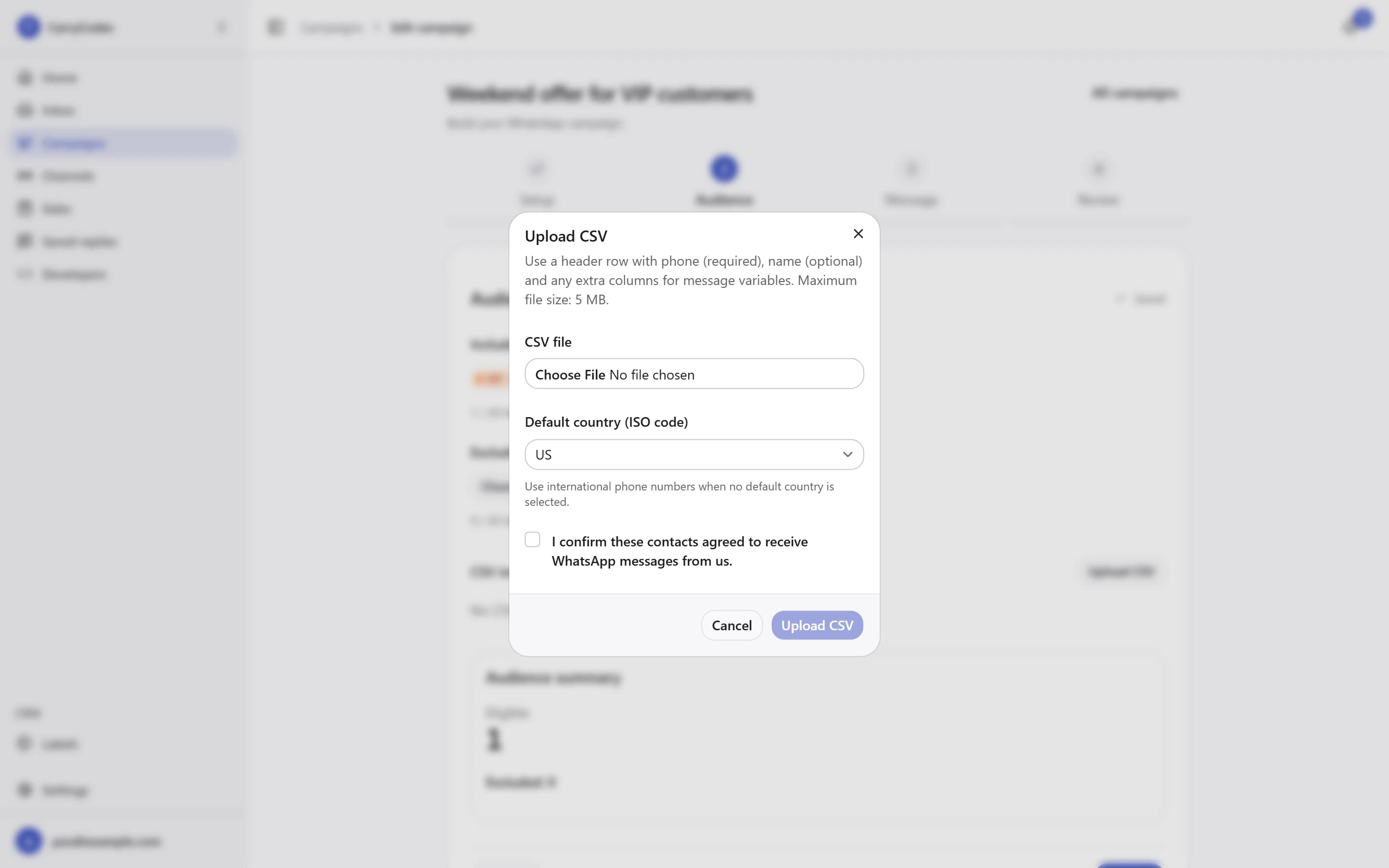 Campaign audience setup with Include labels, Exclude labels, and CSV import consent